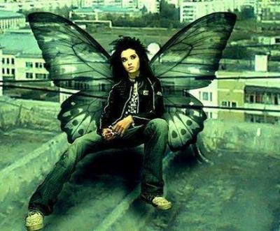 bill papillon