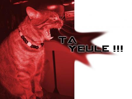 ta yeule!!!