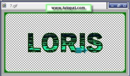 loris