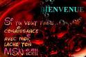 lache ton msn