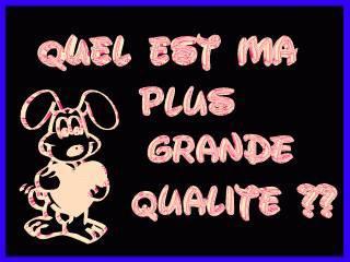 quel est ma plus grande qualité?
