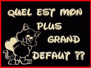 quel est monj plus gros defaut ?